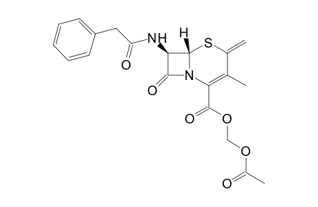 Acetoxymethyl 7-(.beta.-phenylacetamido)-2-methylene-3-methyl-3-cephem-4-carboxylate