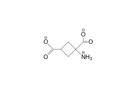 1-Amino-1,3-dicarboxy-cyclobutane anion