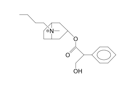 N-Butyl-atropinium cation (anti-butyl)