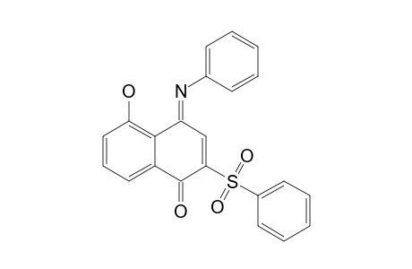 N-PHENYL-5-HYDROXY-2-PHENYLSULFONYL-1,4-NAPHTHOQUINON-4-IMINE