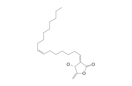 ISOLINDERANOLIDE-D;(3R,2E)-3-HYDROXY-4-METHYLENE-2-((7Z)-7-HEXADECENYLIDENE)-BUTANOLIDE