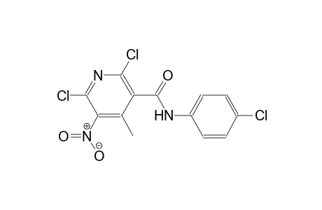 2,6-Dichloro-N-(4-chloro-phenyl)-4-methyl-5-nitro-nicotinamide
