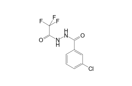 3-Chloro-N'-(trifluoroacetyl)benzohydrazide