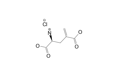 (2S)-4-METHYLENEGLUTAMIC-ACID-HYDROCHLORIDE