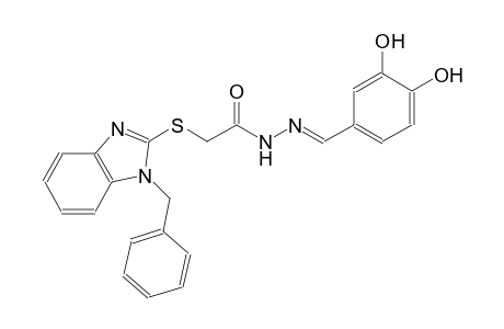 acetic acid, [[1-(phenylmethyl)-1H-benzimidazol-2-yl]thio]-, 2-[(E)-(3,4-dihydroxyphenyl)methylidene]hydrazide