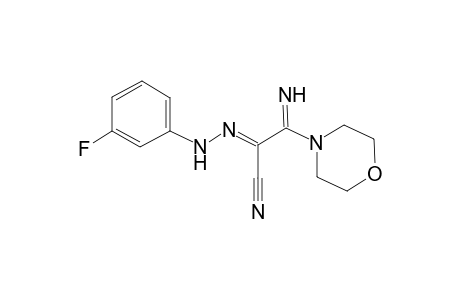 (2E)-2-[(3-Fluorophenyl)hydrazono]-3-imino-3-(4-morpholinyl)propanenitrile