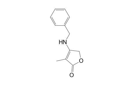 3-Benzylamino-2-methyl-2-buten-4-olide