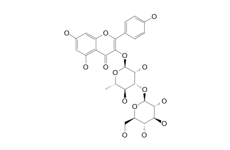 TERNATUMOSIDE-II;KAEMPFEROL-3-O-BETA-D-GLUCOPYRANOSYL-(1->3)-ALPHA-L-RHAMNOPYRANOSIDE