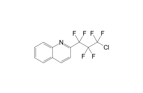 2-(1',1',2',2',3',3'-hexafluoro-3'-chloropropyl)quinoline