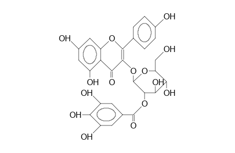 Kaempferol 3-O-glucoside-2'-gallate