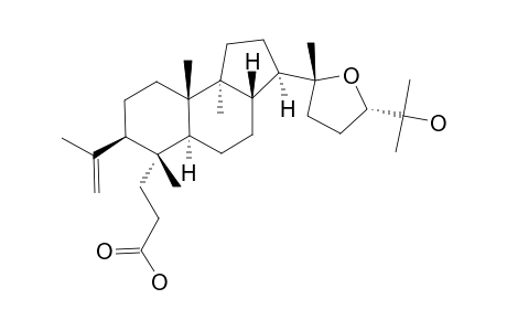 20S,24S-EPOXY-25-HYDROXY-3,4-SECODAMMAR-4(28)-EN-3-OIC-ACID;SHOREIC-ACID