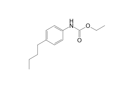 Ethyl [4'-butylphenylcarbamate