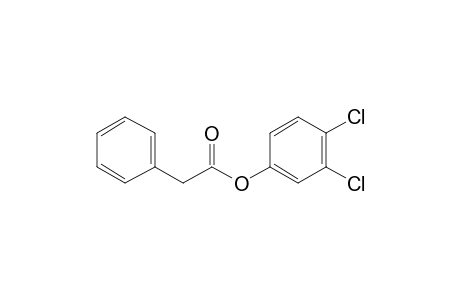 Phenylacetic acid, 3,4-dichlorophenyl ester