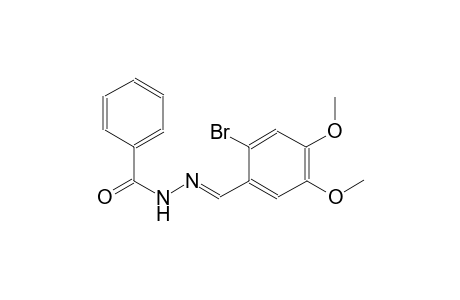 N'-[(E)-(2-bromo-4,5-dimethoxyphenyl)methylidene]benzohydrazide