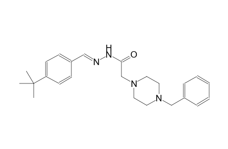 1-piperazineacetic acid, 4-(phenylmethyl)-, 2-[(E)-[4-(1,1-dimethylethyl)phenyl]methylidene]hydrazide