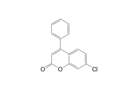 7-CHLORO-4-PHENYL-2-H-CHROMEN-2-ONE