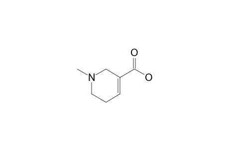1-methyl-1,2,5,6-tetrahydronicotinic acid