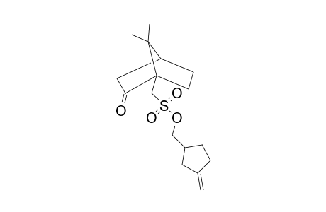 CAMPHER-10-SULFONIC ACID, (3-METHYLENCYCLOPENTYL)METHYL ESTER
