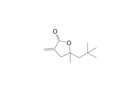 5-(2,2-dimethylpropyl)-5-methyl-3-methylene-2-oxolanone