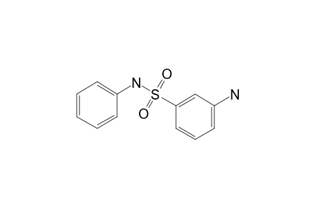 3-Amino-N-phenylbenzenesulfonamide