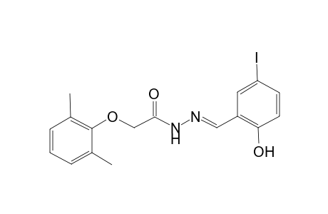(2,6-Dimethyl-phenoxy)-acetic acid (2-hydroxy-5-iodo-benzylidene)-hydrazide