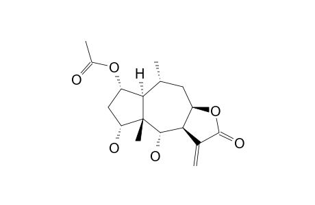 CHAMISSONOLIDE