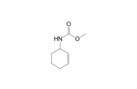 N-(Cyclohex-2-enyl)-methyl carbamate