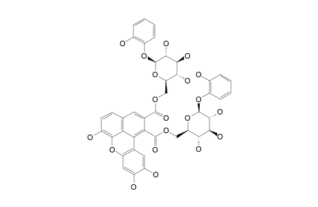DODEGRANOSIDE-C;8,2'-EPOXY-7,4',5'-TRIHYDROXYNAPHTHALENE-2,3-DICARBOXYLIC-ACID-DIPYROCATECHOL-O-BETA-D-GLUCOPYRANOSYLESTER
