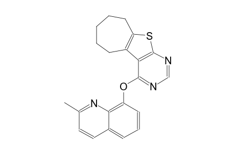 5H-cyclohepta[4,5]thieno[2,3-d]pyrimidine, 6,7,8,9-tetrahydro-4-[(2-methyl-8-quinolinyl)oxy]-