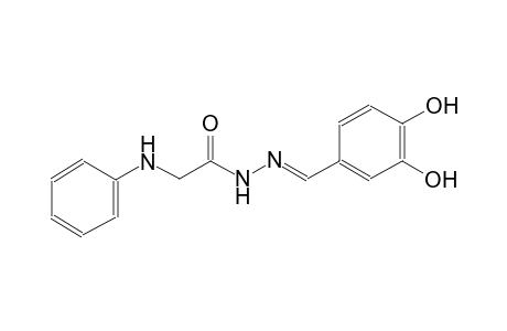 acetic acid, (phenylamino)-, 2-[(E)-(3,4-dihydroxyphenyl)methylidene]hydrazide
