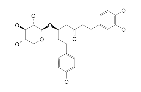 ALNUSIDE-B;(5S)-1-(3,4-DIHYDROXYPHENYL)-5-HYDROXY-7-(4-HYDROXYPHENYL)-3-HEPTANONE-5-O-BETA-D-XYLOPYRANOSIDE