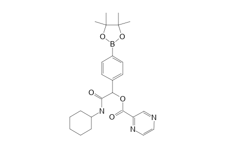2-(CYCLOHEXYLAMINO)-2-OXO-1-[4-(4,4,5,5-TETRAMETHYL-1,3,2-DIOXABOROLAN-2-YL)-PHENYL]-ETHYL-PYRAZINE-2-CARBOXYLATE