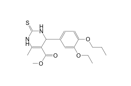 methyl 4-(3-ethoxy-4-propoxyphenyl)-6-methyl-2-thioxo-1,2,3,4-tetrahydro-5-pyrimidinecarboxylate