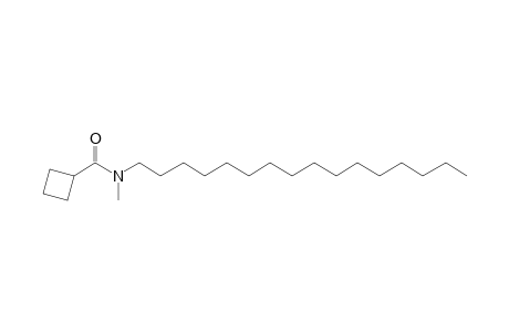 Cyclobutylcarboxamide, N-methyl-N-hexadecyl-