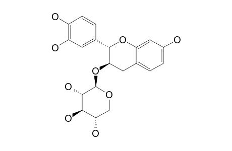 FISETINIDOL-3-O-BETA-D-XYLOPIRANOSIDE