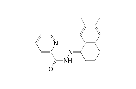 N'-((1E)-6,7-dimethyl-3,4-dihydro-1(2H)-naphthalenylidene)-2-pyridinecarbohydrazide