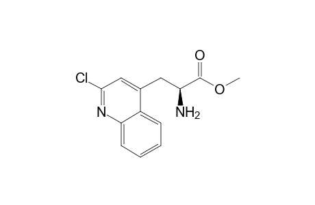 Methyl (+)-(2S)-Amino-3-(2-chloroquinolin-4-yl)propionate