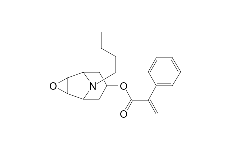 3-(1-oxo-2-phenyl-2-propenoxy)-8-butyl-6,7-epoxy-8-azabicyclo[3.2.1]octane