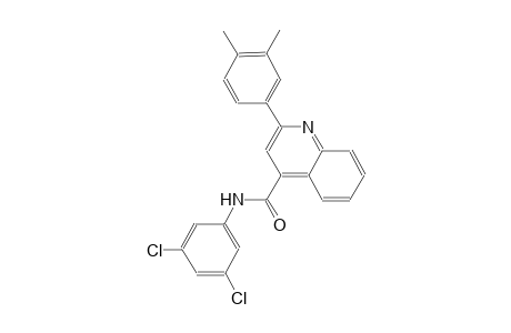 N-(3,5-dichlorophenyl)-2-(3,4-dimethylphenyl)-4-quinolinecarboxamide
