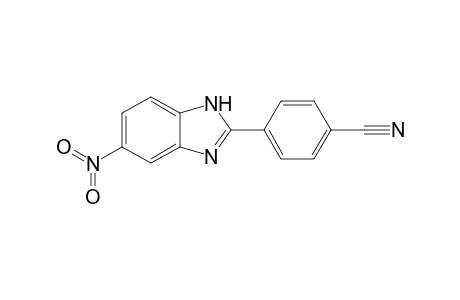 2-(p-Cyanophenyl)-5-nitrobenzimidazole