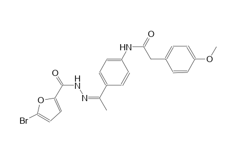 N-{4-[(1Z)-N-(5-bromo-2-furoyl)ethanehydrazonoyl]phenyl}-2-(4-methoxyphenyl)acetamide
