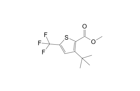 5-Methoxycarbonyl-4-tert-butyl-2-trifluoromethylthiophene