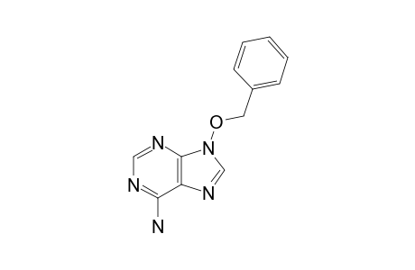 9-BENZYLOXYADENINE