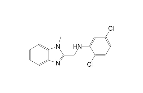 N-(2,5-dichlorophenyl)-N-[(1-methyl-1H-benzimidazol-2-yl)methyl]amine