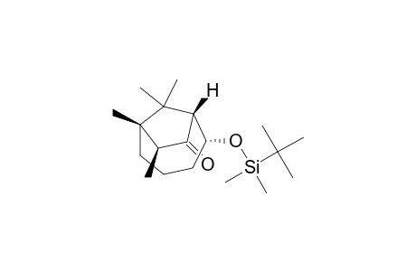 (1R,2R,6S,7S)-2-[tert-butyl(dimethyl)silyl]oxy-6,7,9,9-tetramethyl-8-bicyclo[4.2.1]nonanone