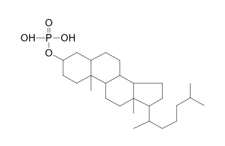 CHOLESTERYL-3-PHOSPHATE