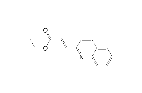 (E)-Ethyl 3-(quinolin-2-yl)acrylate