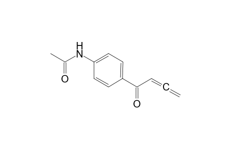N-(4-Buta-2,3-dienoylphenyl)acetamide