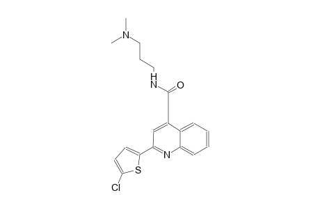 2-(5-chloro-2-thienyl)-N-[3-(dimethylamino)propyl]-4-quinolinecarboxamide