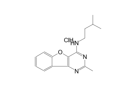 N-isopentyl-2-methyl[1]benzofuro[3,2-d]pyrimidin-4-amine hydrochloride
